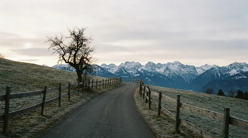 A quiet road climbing a grassy hilltop at dawn with a wooden fence and distant snow-capped mountains
